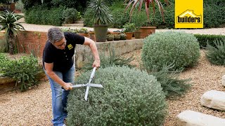 How To Trim Your Hedges With The Garden Master Hedge Shears [upl. by Aylmar]