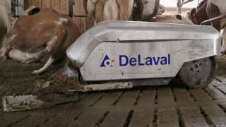 Customer story Sedlmair Germany “Our most reliable employee” with DeLaval robot scraper RS450S [upl. by Refynnej]