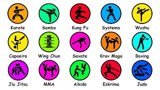 Every Martial Art Type Explained in 12 Minutes [upl. by Nairot]