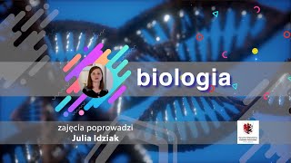 Biologia  SP  egzamin ósmoklasisty Nieantagonistyczne zależności między organizmami [upl. by Melessa]