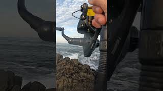 GREAT TIP Rock Fishing Technique [upl. by Aitsirt]