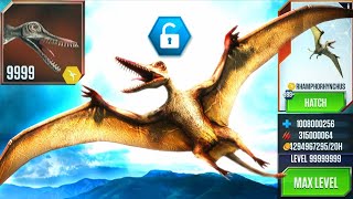 Rhamphorhynchus max feed outJurrasic world the game [upl. by Ramunni518]