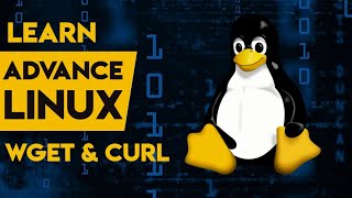 Learn Advance Linux Commands  Curl amp Wget  Hindi  Urdu [upl. by Zashin]