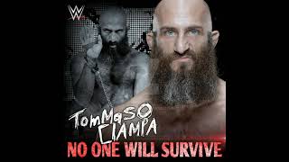 Tomasso Ciampa theme Fairy box INTRO Extremely Favourite [upl. by Lavinia463]