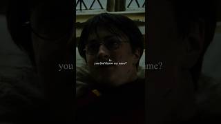 pov  you dont know my name no i know your name  yn diggory x harry potter [upl. by Kohn]