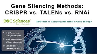 Gene Silencing Methods  CRISPR vs TALENs vs RNAi  siRNA  sgRNA  BOC Sciences [upl. by Yumuk662]