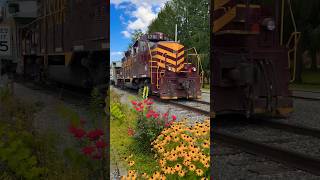 Great Smoky Mountain Railroad Tuckasegee River Excursion [upl. by Novert]