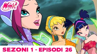 Winx Club Shqip  EPISODI I PLOTÃ‹  Mposhtja e Shtrigave  Sezoni 1 Episodi 26 [upl. by Sontich414]