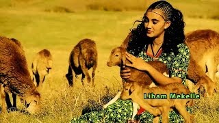 New Traditional Tigrigna Music yehilaldo Kflom Gmariam Kuda ንዒ ኩዳ የሒላል ዶ [upl. by Hilly]