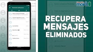 Recupera tus mensajes y chats eliminados con WAMR [upl. by Dugald807]