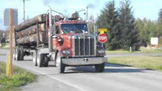 1973 Kenworth logging truck Everson Wa [upl. by Cudlip]