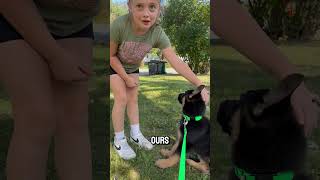 Mom surprised daughters with a german shepherd puppy 😍 [upl. by Corbett]