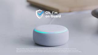 ADT  Alexa  Safe and Sound [upl. by Gillead]