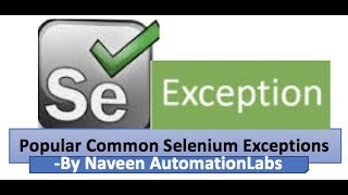 Popular Common Selenium Exceptions [upl. by Seagrave]