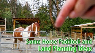 Some Horse Paddock and Land Planning Ideas [upl. by Cerelly]