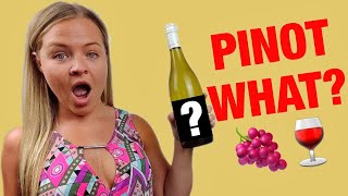 Pinot Grigio vs Pinot Gris  Best Sweet Wines for Beginners [upl. by Sundin198]