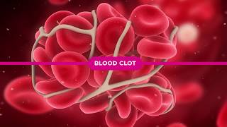 Coagulation Cascade Explained [upl. by Alhak]