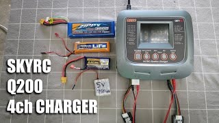 SKYRC Q200 charger [upl. by Nylehtak]