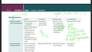 31 Nephritic syndrome  Infection related glomerulonephritis  IgA nephropathy  RPGN [upl. by Ydisac684]