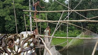 Amazing Way Of Fishing  Most Oldest Way Of Catching Fish In Rural Village Bangladesh [upl. by Graaf830]