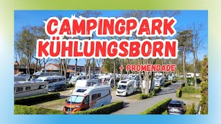 da wollte ich eigentlich nie wieder hin  Campingplatz Campingpark Kühlungsborn [upl. by Ahsaetan19]