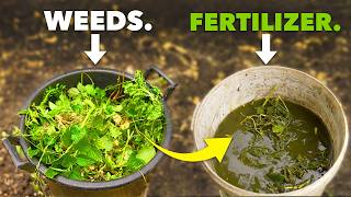 Better than Miracle Gro Make Fertilizer from Weeds [upl. by Haorbed112]