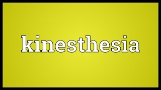 Kinesthesia Meaning [upl. by Nilad]