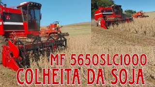 Colheita da Soja MF 5650SLC 1000 [upl. by Audley594]