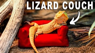 Testing The Strangest Reptile Products I Can Find [upl. by Newg]