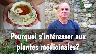 Pourquoi sintéresser aux plantes médicinales [upl. by Nohs]