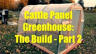 Cattle Panel Greenhouse The Build  Part 2 [upl. by Jegger679]