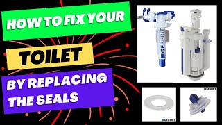 How to repair a toilet with new seals Geberit [upl. by Asek]