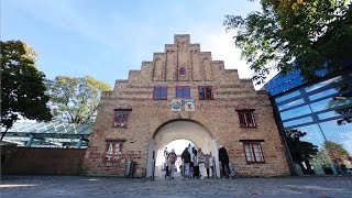 Flensburg  Zwischen Himmel und Förde  Tourismus [upl. by Whitcomb]