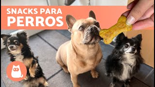 GALLETAS para PERROS con 3 Ingredientes 🐶  Premios Caseros para Perros [upl. by Ursal]