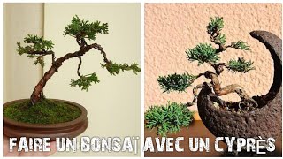 FAIRE UN bonsaï aves un CYPRÈS VOL 1 [upl. by Tahmosh]