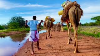 PASTORALISM IN NORTHERN KENYA GARISSA COUNTYLIFETIME EXPERIENCE PART 1 [upl. by Gareth]