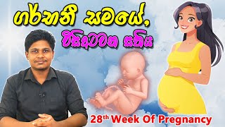 Pregnancy 28th Week  Sinhala Medical Review  අම්මයි බබයි [upl. by Aicened]