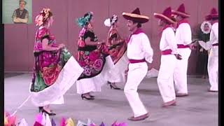 La zandunga con pasos básicos Baile folcklorico de Oaxaca México [upl. by Yrogreg]