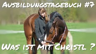 Ausbildungstagebuch 7  Mein Pferd testet mich I Steigen I Dominante Stute [upl. by Notsruht]