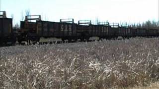 CSX Rail Train Coming Into Massena [upl. by Klimesh]