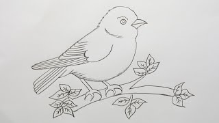 How to draw a bird step by step bird drawing easydrawing for beginners [upl. by Nerro661]