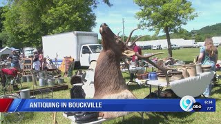 Antique show in Bouckville [upl. by Ennej]