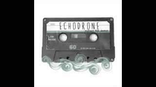 Echodrone  Are Friends Electric [upl. by Hgielek]