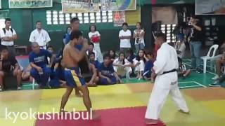 Kyokushin Karate vs Muay Thai [upl. by Nason]