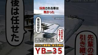 エスコン架空機みたいな未来に繋がる大型全翼爆撃機  ”YB35”の1分解説 [upl. by Natsyrk354]