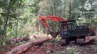 Hitachi zaxis 200 5G kumpul kayu balak [upl. by Bernhard]