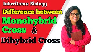 Difference between Monohybrid cross amp Dihybrid Cross [upl. by Eleaffar]