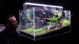 Aquascaper 900  His First Ever Aquarium  Full Step by Step [upl. by Brout149]