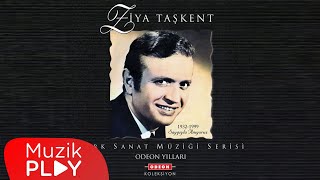 Sevmekten Kim Usanır  Ziya Taşkent Official Audio [upl. by Nesto176]