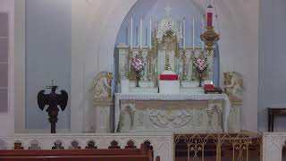 Tuesday 6 AM Latin Mass for 11122024 [upl. by Fabien]